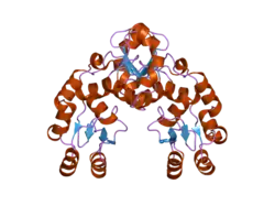 2ado: Crystal Structure Of The Brct Repeat Region From The Mediator of DNA damage checkpoint protein 1, MDC1