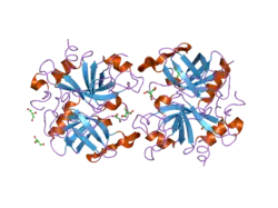 2afq: 1.9 angstrom crytal structure of wild-type human thrombin in the sodium free state