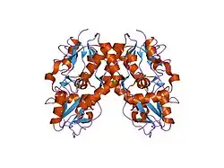 2al5: Crystal structure of the GluR2 ligand binding core (S1S2J) in complex with fluoro-willardiine and aniracetam