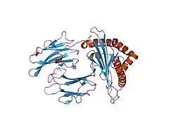 2axf: The Immunogenicity of a Viral Cytotoxic T Cell Epitope is controlled by its MHC-bound Conformation