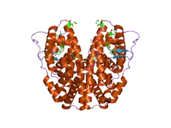 2b1v: Human estrogen receptor alpha ligand-binding domain in complex with OBCP-1M and a glucocorticoid receptor interacting protein 1 NR box II peptide