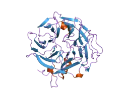 2b4e: Crystal Structure of Murine Coronin-1: monoclinic form