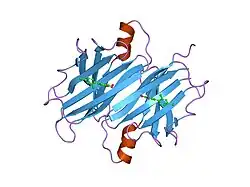 2b77: Human transthyretin (TTR) complexed with Diflunisal analogues- TTR.2',4'-DICHLORO-4-HYDROXY-1,1'-BIPHENYL-3-CARBOXYLIC ACID