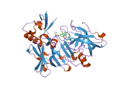 2b8v: Crystal structure of human Beta-secretase complexed with L-L000430,469