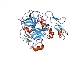 2boh: CRYSTAL STRUCTURE OF FACTOR XA IN COMPLEX WITH COMPOUND ""1""