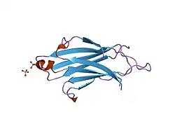 2bwq: CRYSTAL STRUCTURE OF THE RIM2 C2A-DOMAIN AT 1.4 ANGSTROM RESOLUTION