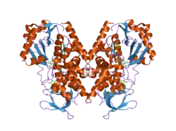 2bxr: HUMAN MONOAMINE OXIDASE A IN COMPLEX WITH CLORGYLINE, CRYSTAL FORM A