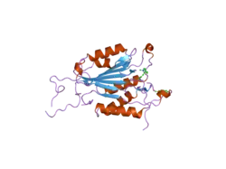 2c2o: CRYSTAL STRUCTURES OF CASPASE-3 IN COMPLEX WITH AZA-PEPTIDE MICHAEL ACCEPTOR INHIBITORS.