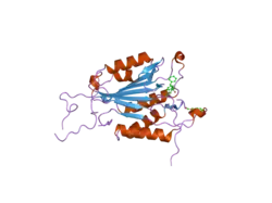 2cdr: CRYSTAL STRUCTURES OF CASPASE-3 IN COMPLEX WITH AZA-PEPTIDE EPOXIDE INHIBITORS.