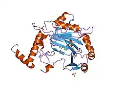 2cgn: FACTOR INHIBITING HIF-1 ALPHA WITH SUCCINATE