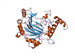 2cgo: FACTOR INHIBITING HIF-1 ALPHA WITH FUMARATE
