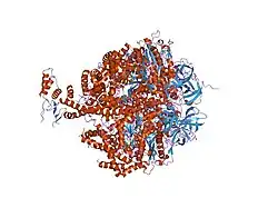 2ck3: AZIDE INHIBITED BOVINE F1-ATPASE