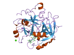 2cn0: COMPLEX OF RECOMBINANT HUMAN THROMBIN WITH A DESIGNED INHIBITOR