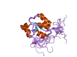 2cok: Solution structure of BRCT domain of poly(ADP-ribose) polymerase-1