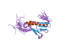2cql: Solution structure of the N-terminal domain of human ribosomal protein L9