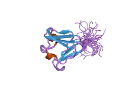2dad: Solution structure of the fifth crystall domain of the non-lens protein, Absent in melanoma 1