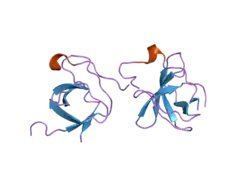 2df6: Crystal Structure of the SH3 Domain of betaPIX in Complex with a High Affinity Peptide from PAK2