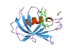 2dg9: FK506-binding protein mutant WL59 complexed with Rapamycin