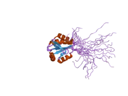 2diy: The solution structure of the thioredoxin domain of human Thioredoxin-like protein 2