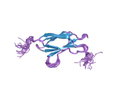 2dju: Solution structures of the fn3 domain of human receptor-type tyrosine-protein phosphatase F