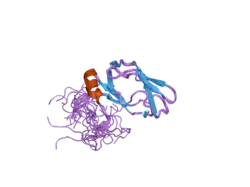 2dne: Solution Structure of RSGI RUH-058, a lipoyl domain of human 2-oxoacid dehydrogenase
