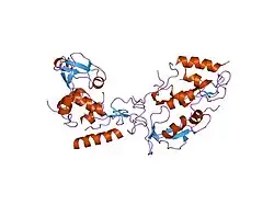 2dsq: Structural Basis for the Inhibition of Insulin-like Growth Factors by IGF Binding Proteins