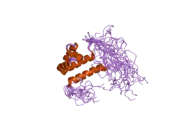 2dt7: Solution structure of the second SURP domain of human splicing factor SF3a120 in complex with a fragment of human splicing factor SF3a60