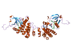 2e2b: Crystal structure of the c-Abl kinase domain in complex with INNO-406