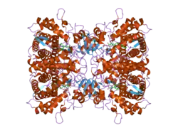 2f9q: Crystal Structure of Human Cytochrome P450 2D6
