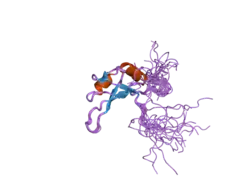 2fc8: Solution structure of the RRM_1 domain of NCL protein
