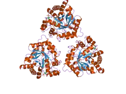 2fvl: Crystal structure of human 3-alpha hydroxysteroid/dihydrodiol dehydrogenase (AKR1C4) complexed with NADP+