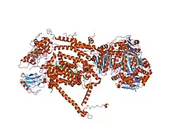 2fyu: Crystal structure of bovine heart mitochondrial bc1 with jg144 inhibitor