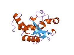 2fzp: Crystal structure of the USP8 interaction domain of human NRDP1