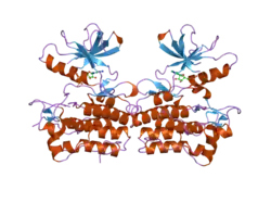 2g2i: A Src-like Inactive Conformation in the Abl Tyrosine Kinase Domain