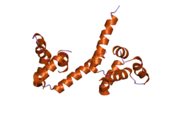 2g7r: X-ray structure of the death domain of the human mucosa associated lymphoid tissue lymphoma translocation protein 1