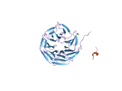 2gnq: Structure of wdr5