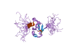 2gtj: Reduced form of ADAP hSH3-N-domain
