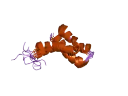 2gyt: Solution structure of the SAM (sterile alpha motif) domain of DLC1 (deleted in liver cancer 1)