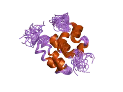 2h2m: Solution Structure of the N-terminal domain of COMMD1 (Murr1)