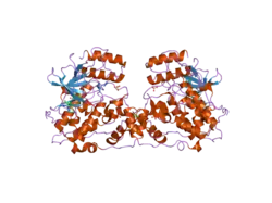 2h96: Discovery of Potent, Highly Selective, and Orally Bioavailable Pyridine Carboxamide C-jun NH2-terminal Kinase Inhibitors