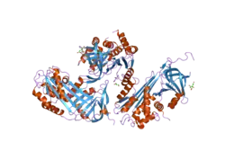 2hi9: Crystal Structure of human native protein C inhibitor