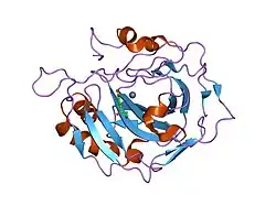 2hkk: Carbonic anhydrase activators: Solution and X-ray crystallography for the interaction of andrenaline with various carbonic anhydrase isoforms
