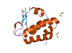 2hpj: Crystal structure of the PUB domain of mouse PNGase