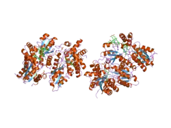 2hre: Structure of human ferrochelatase variant E343K with protoporphyrin IX bound
