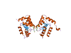 2ht9: The structure of dimeric human glutaredoxin 2