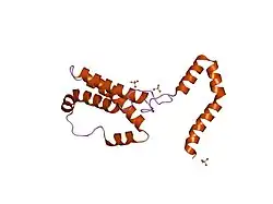 2ilk: CRYSTAL STRUCTURE OF HUMAN INTERLEUKIN-10 AT 1.6 ANGSTROMS RESOLUTION