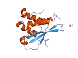 2iwl: STRUCTURE OF THE PX DOMAIN OF PHOSPHOINOSITIDE 3-KINASE-C2ALPHA