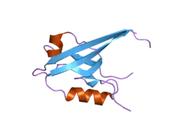 2iwn: 3RD PDZ DOMAIN OF MULTIPLE PDZ DOMAIN PROTEIN MPDZ (CASP TARGET)