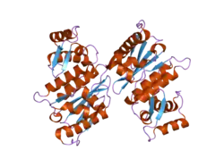 2iyc: SENP1 NATIVE STRUCTURE