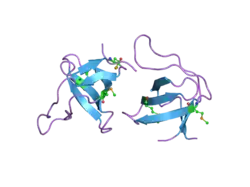 2j05: CRYSTAL STRUCTURE OF THE RASGAP SH3 DOMAIN AT 1.5 ANGSTROM RESOLUTION